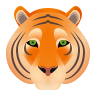 Tiger face